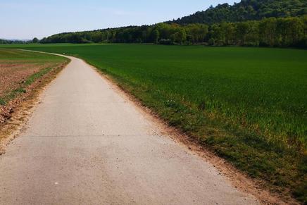 Symbolic image of a hiking trail